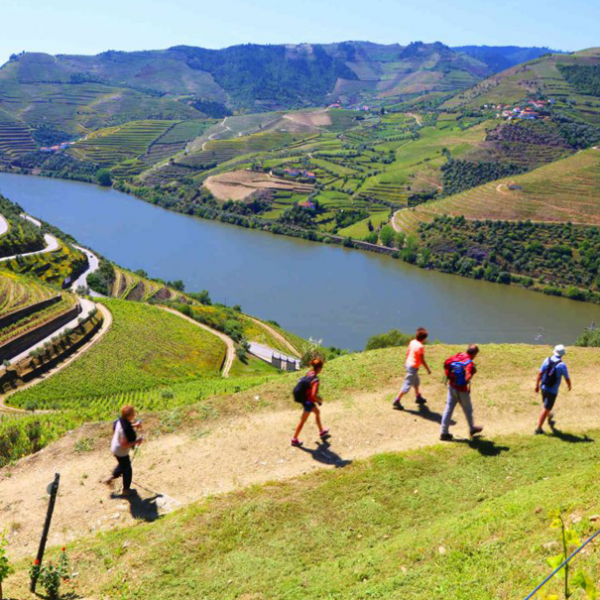 experi-ncias-dajas-douro-valley